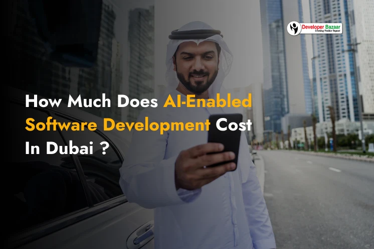 Software development cost in UAE